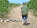 Addicted to Travel? – You May Suffer From Dromomania